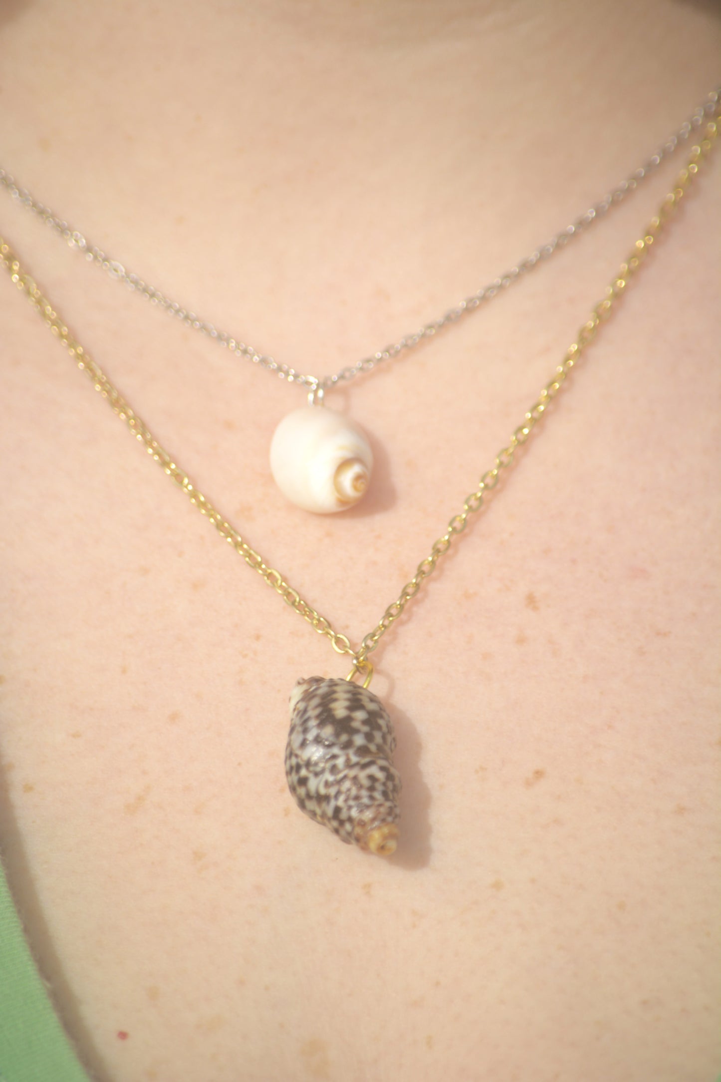 Sea Bound - Cone Shell