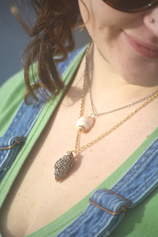 Sea Bound - Cone Shell
