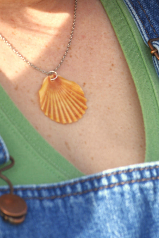 Calypso - Scallop Shell