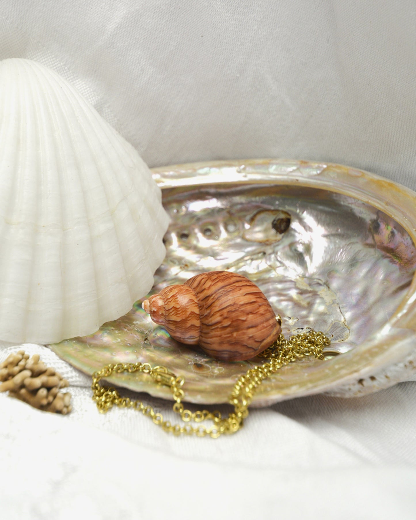 Tideborn - Maireener Shell