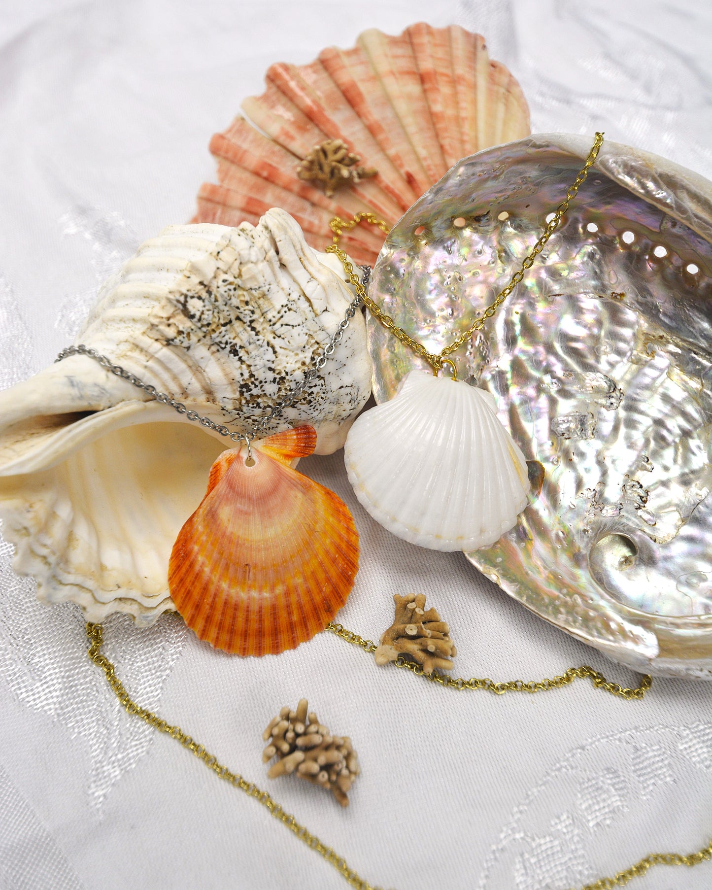 Calypso - Scallop Shell