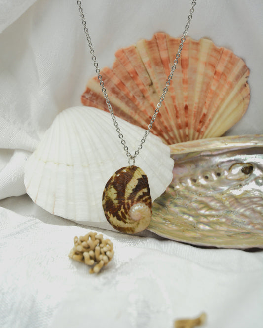 Sea Whisperer - Abalone Shell