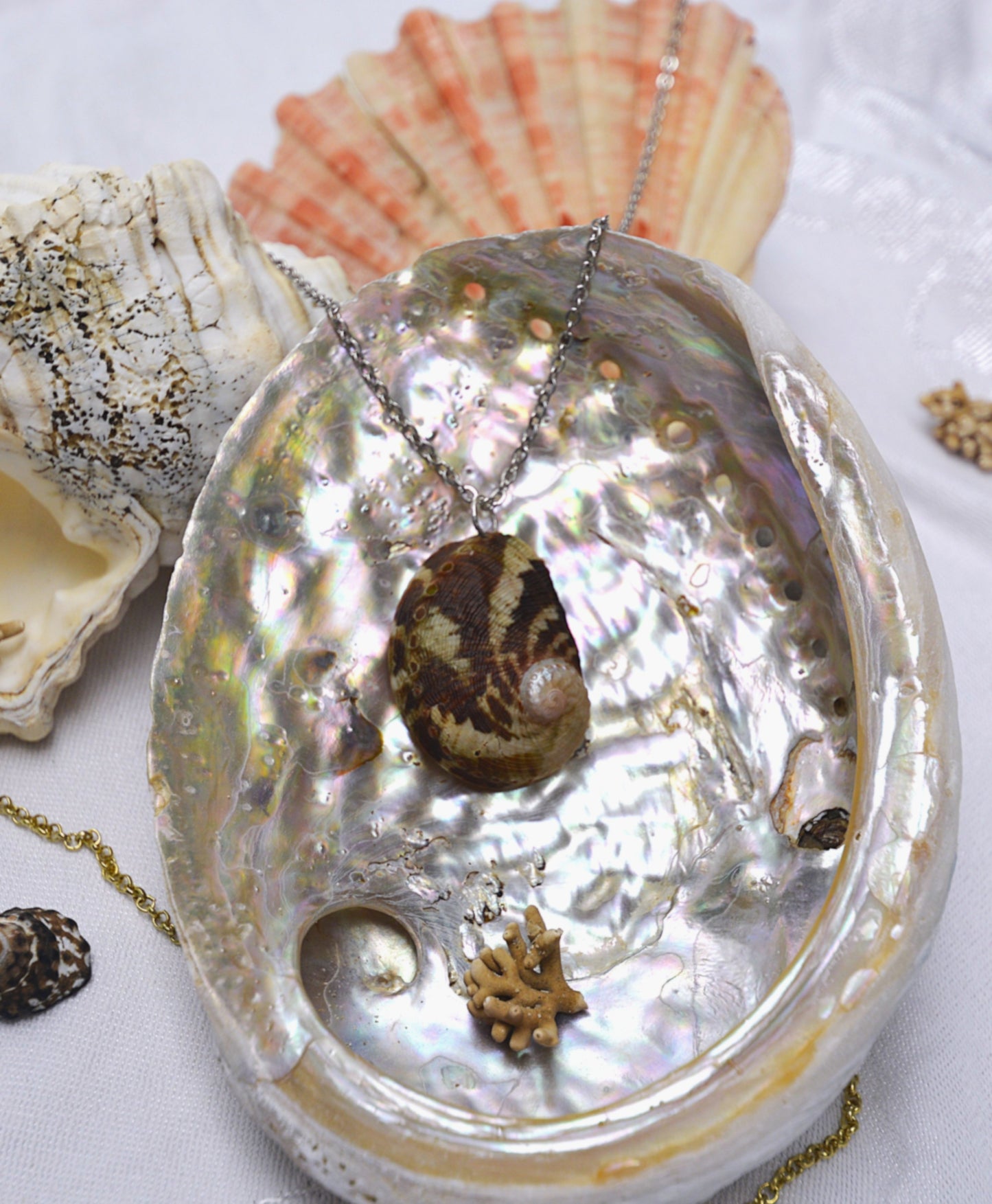 Sea Whisperer - Abalone Shell