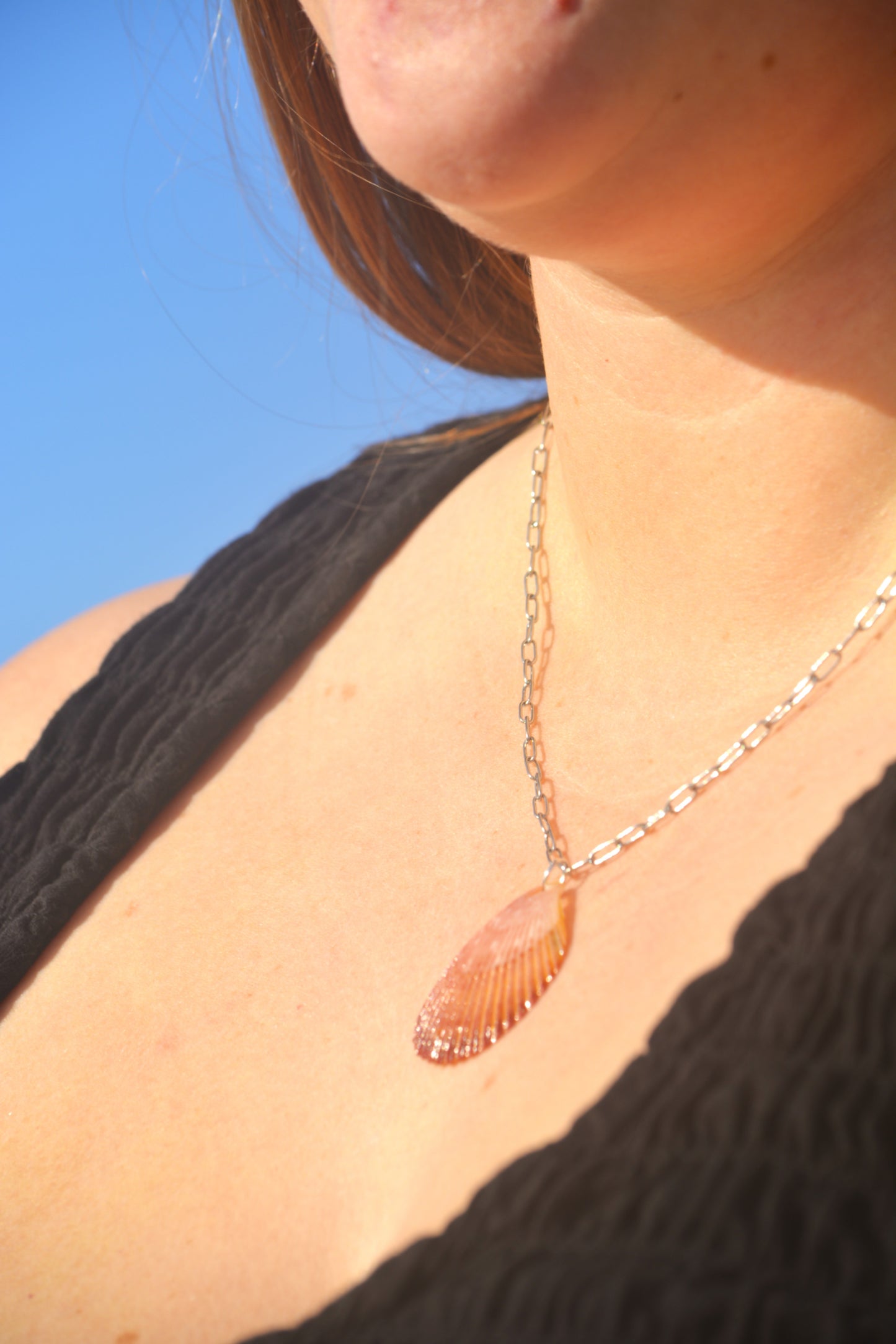 Calypso - Scallop Shell