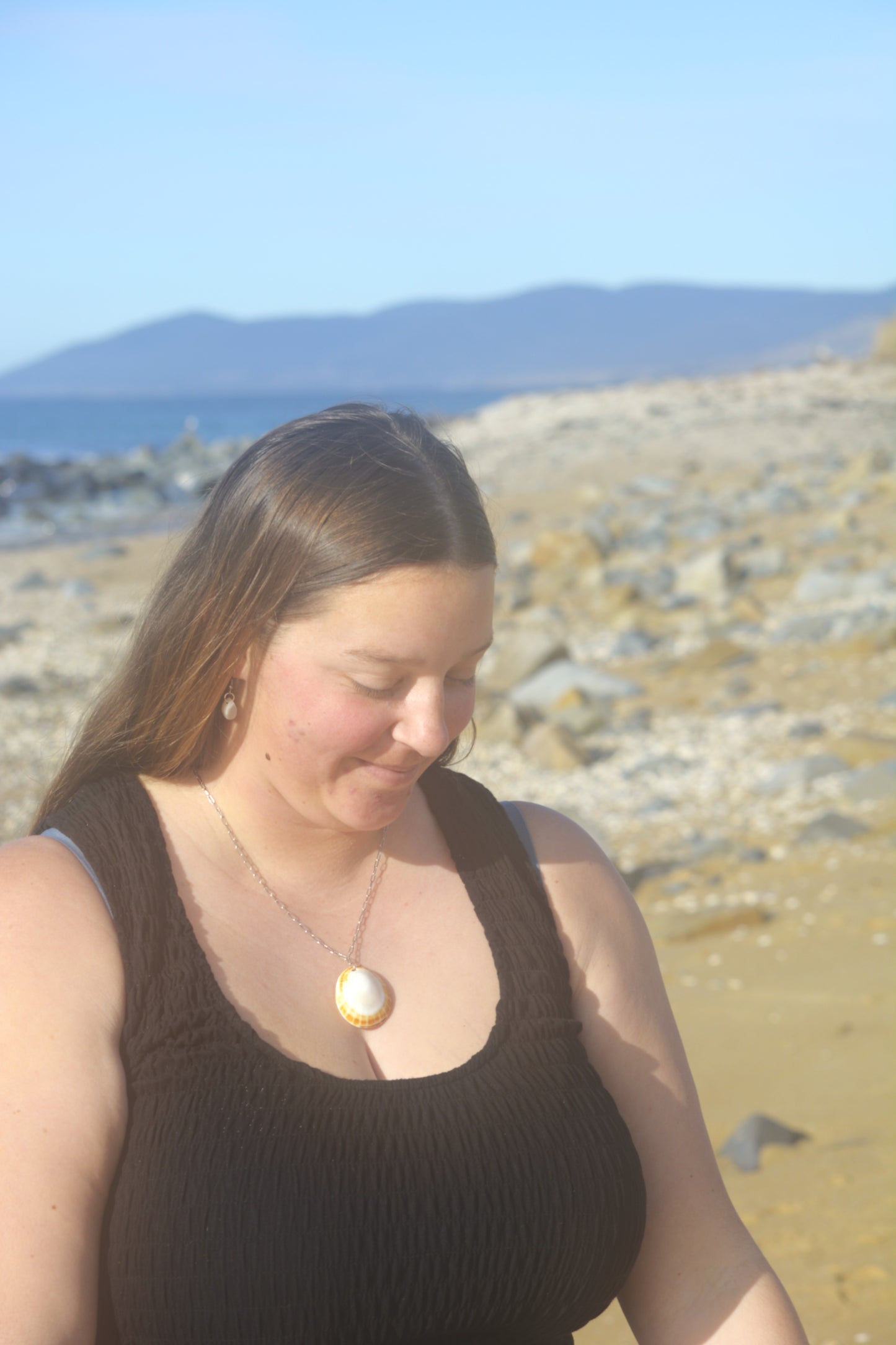Tidepool - Limpet Shell