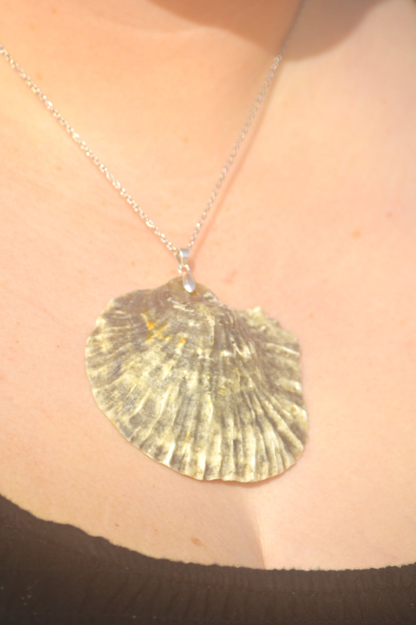 Sea Within - Oyster Shell