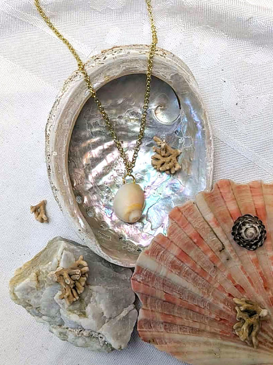 Shellbound Sweethearts