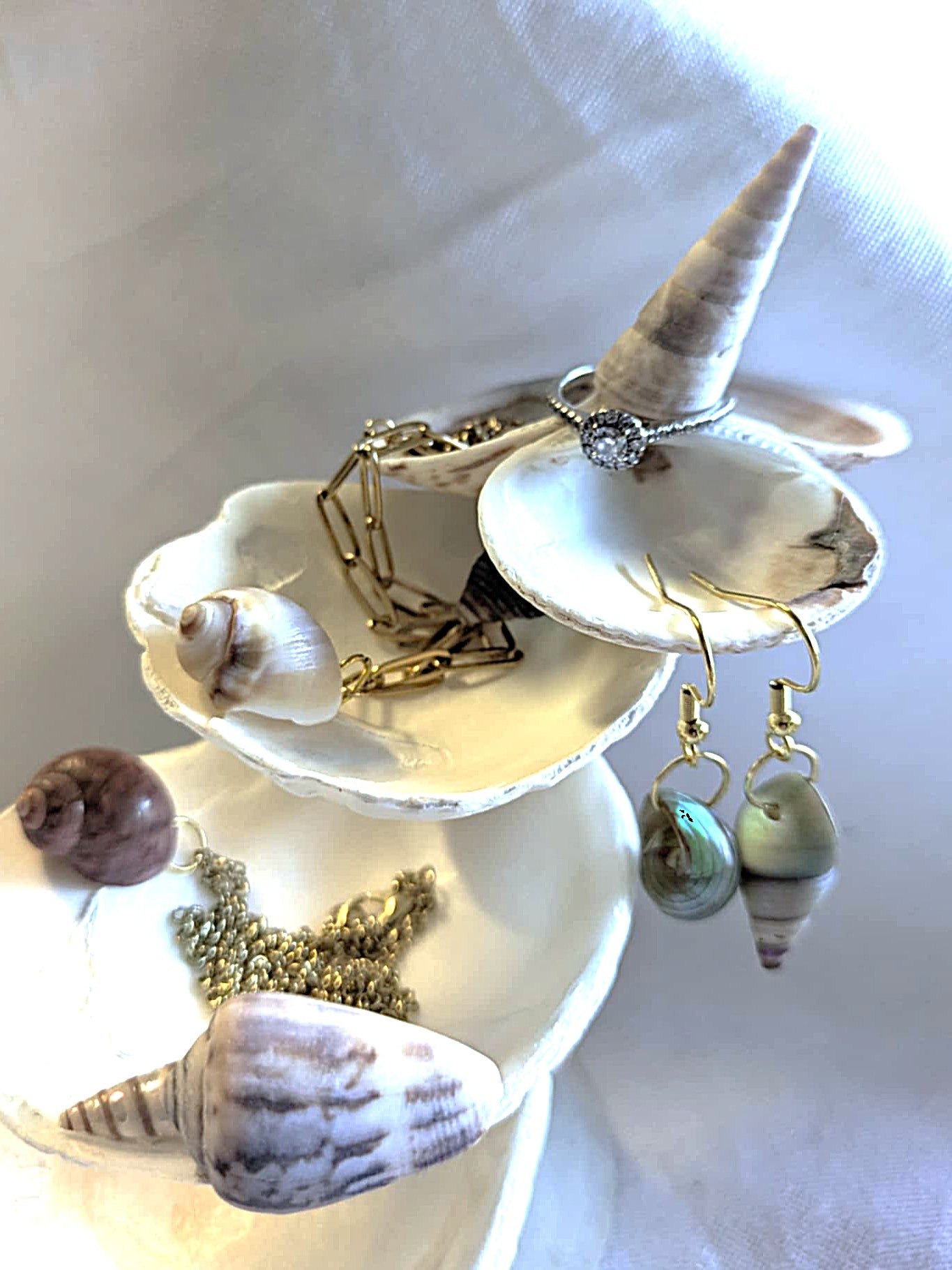 Ocean's Treasure Trays
