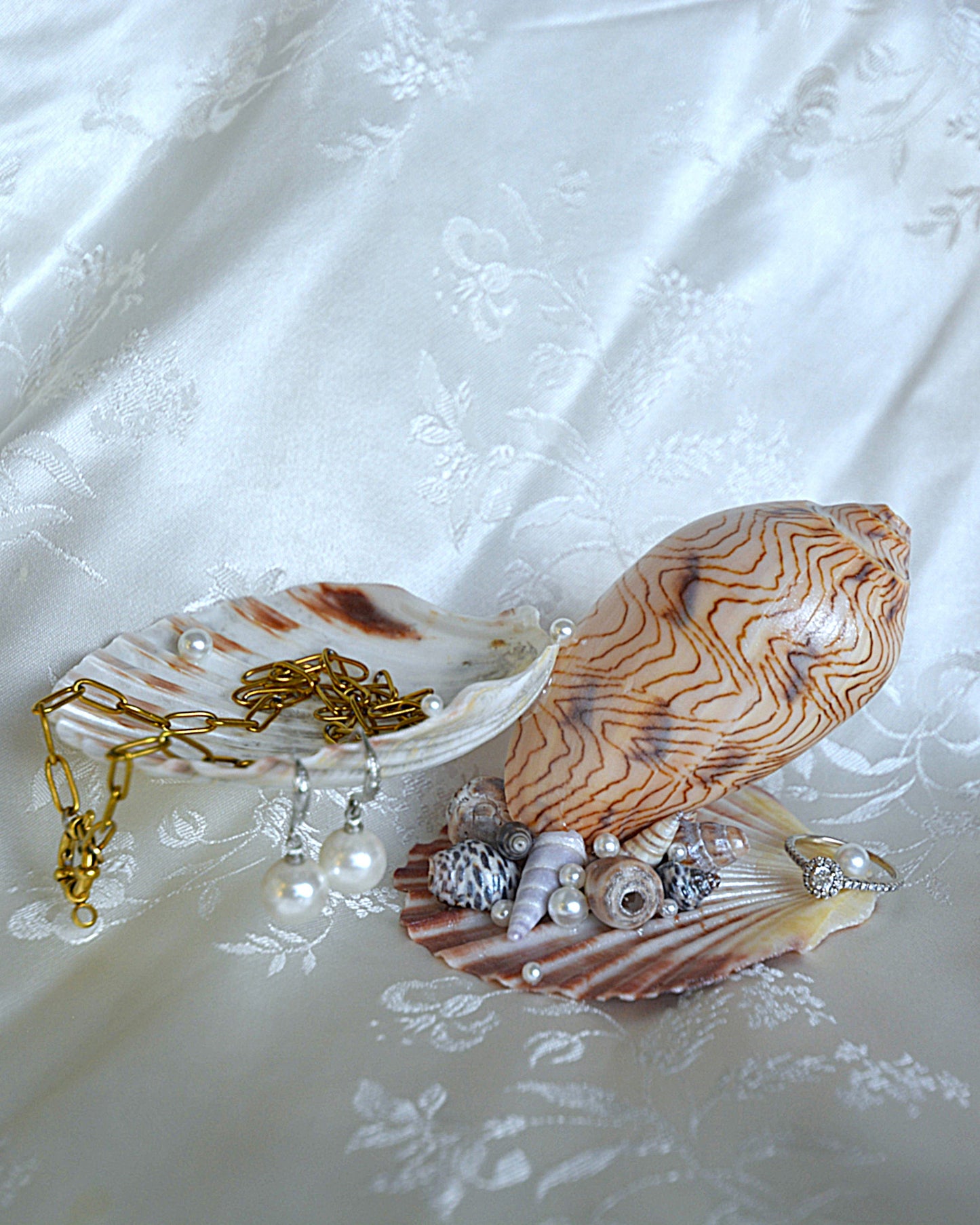 Ocean's Treasure Trays