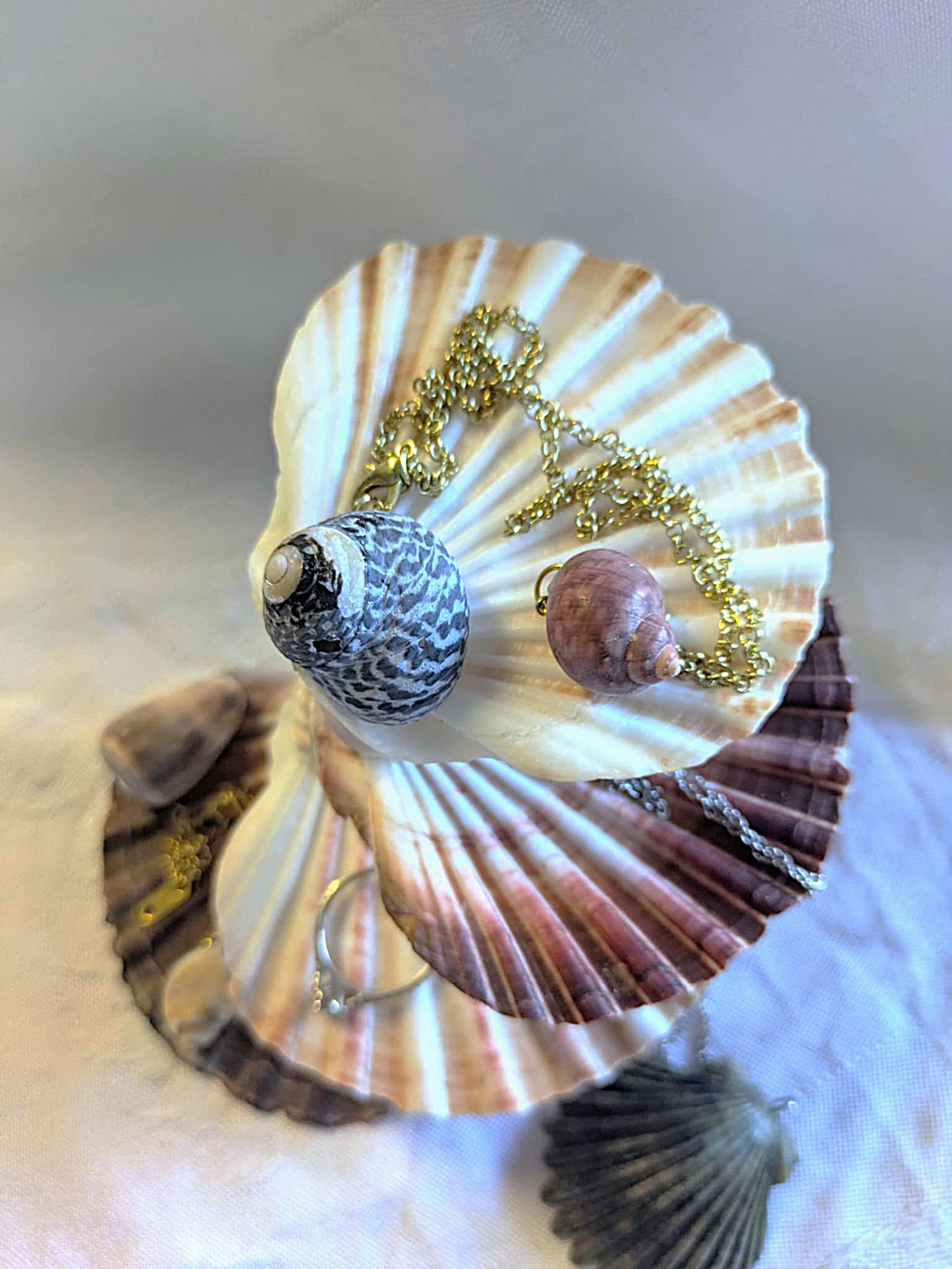 Ocean's Treasure Trays