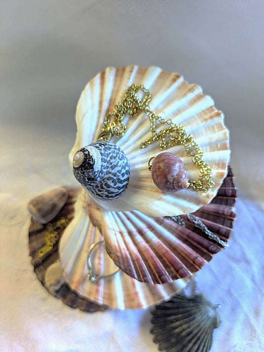 Ocean's Treasure Trays