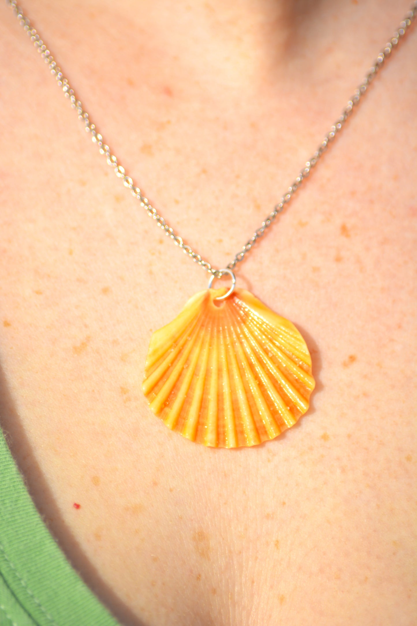 Calypso - Scallop Shell